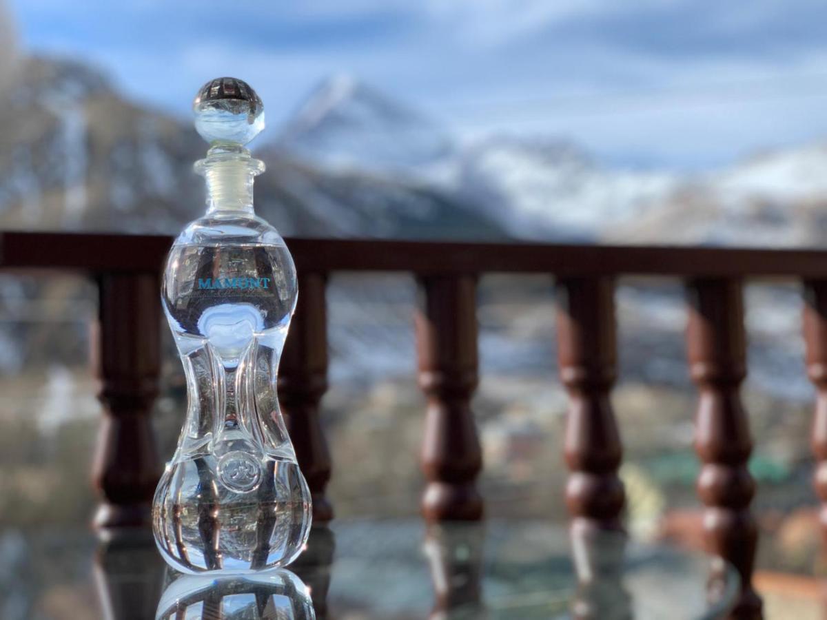 Come & Rest Kazbegi Eksteriør billede